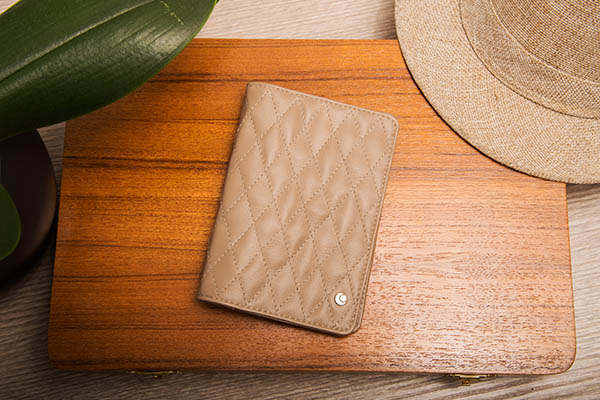 Leather case for passport - 8 credit cards