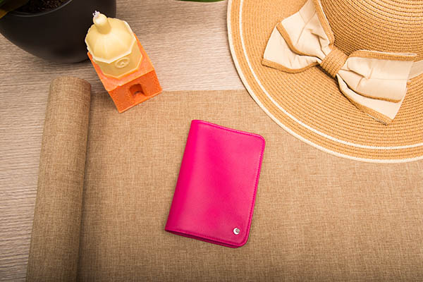 Estuche de piel para pasaporte