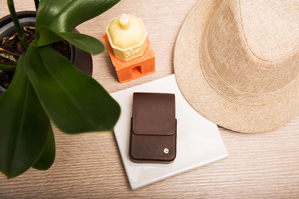 Estuche de cuero para el paquete de cigarros