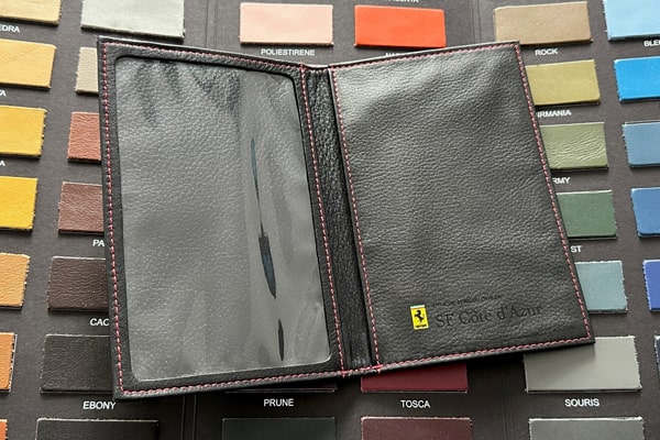 Vehicle registration document case