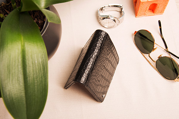 Kartenetui und Scheintasche