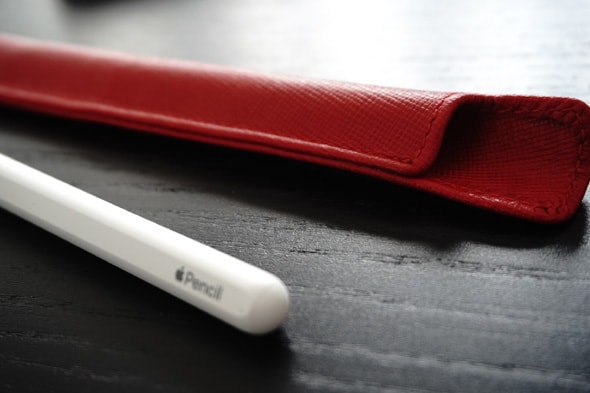 Apple Pencil case (2nd generation)