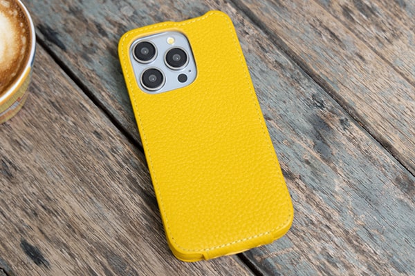 Housse cuir Apple iPhone 15 Pro