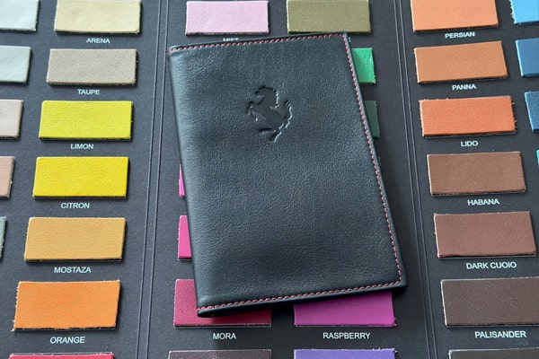 XL vehicle registration case