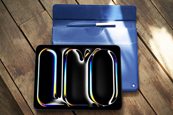 Custodia in pelle Apple iPad Pro 13