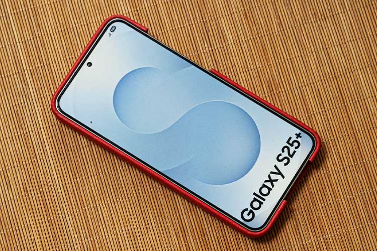 가죽 커버 Samsung Galaxy S25+